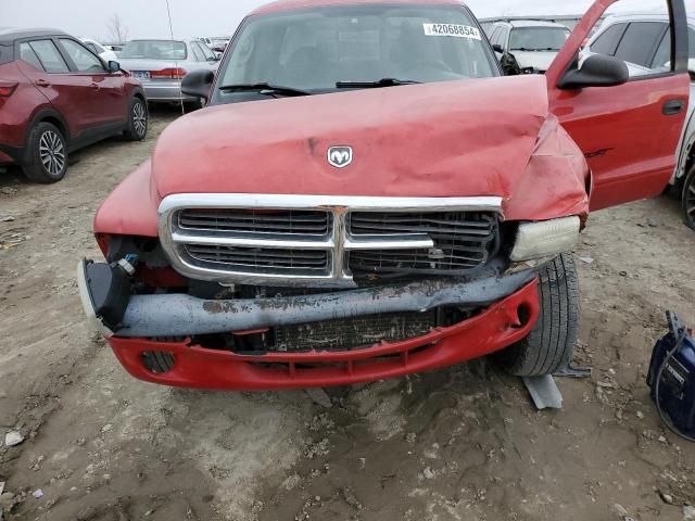 2004 Dodge Dakota SXT