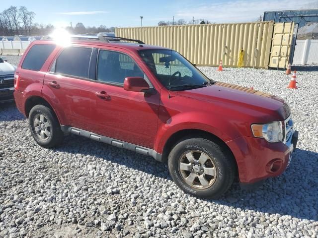 2010 Ford Escape Limited