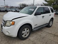 Salvage cars for sale from Copart Lexington, KY: 2008 Ford Escape XLT