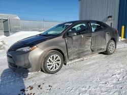 Vehiculos salvage en venta de Copart Elmsdale, NS: 2017 Toyota Corolla L