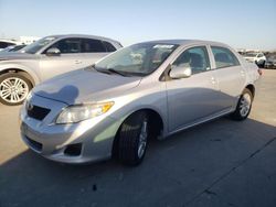 Salvage cars for sale from Copart Grand Prairie, TX: 2009 Toyota Corolla Base