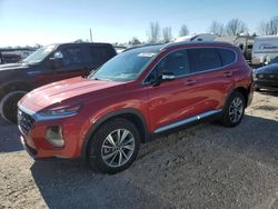 Hyundai salvage cars for sale: 2019 Hyundai Santa FE Limited