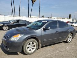 Salvage cars for sale at Van Nuys, CA auction: 2009 Nissan Altima Hybrid