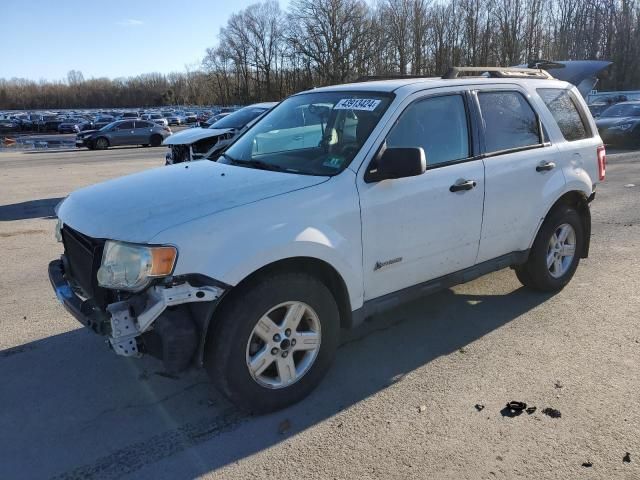 2009 Ford Escape Hybrid