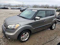 Salvage cars for sale at Louisville, KY auction: 2011 KIA Soul +
