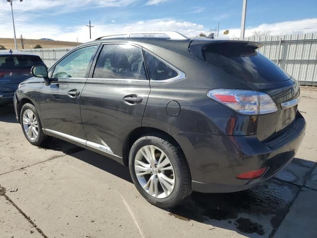 2010 Lexus RX 450