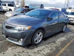 Salvage cars for sale at Vallejo, CA auction: 2013 Toyota Camry L