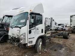 Isuzu NPR HD Vehiculos salvage en venta: 2016 Isuzu NPR HD