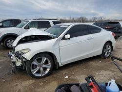 Salvage cars for sale from Copart Louisville, KY: 2011 Honda Accord EXL