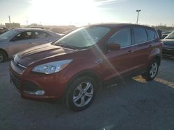 Salvage cars for sale at Indianapolis, IN auction: 2015 Ford Escape SE