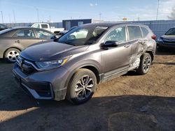 Salvage cars for sale at Greenwood, NE auction: 2020 Honda CR-V EXL