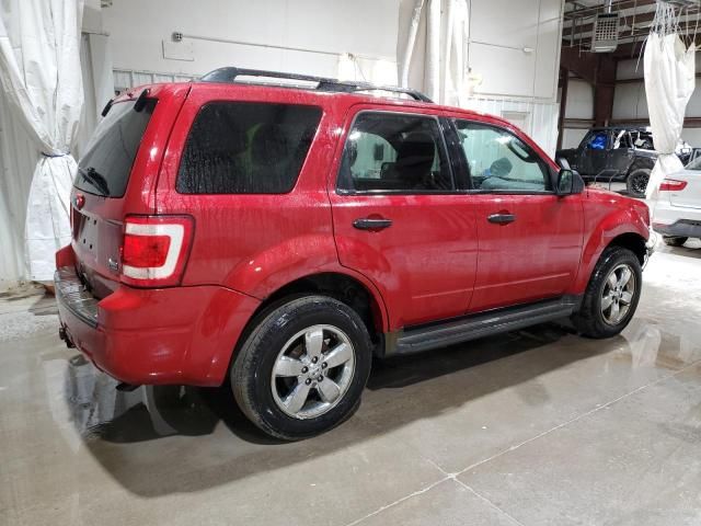 2010 Ford Escape XLT