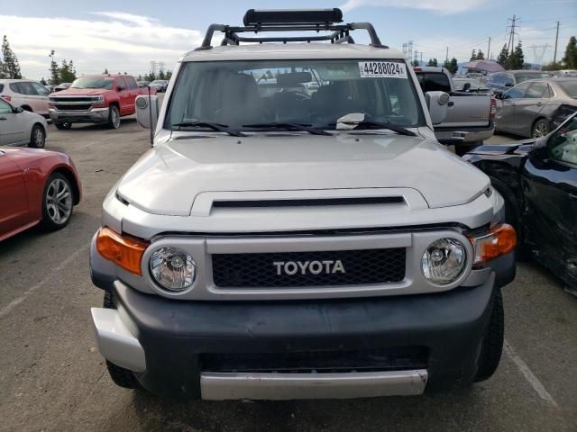 2007 Toyota FJ Cruiser