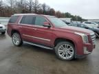 2019 Cadillac Escalade L