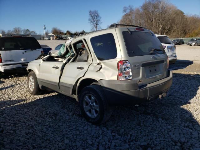 2005 Ford Escape XLT