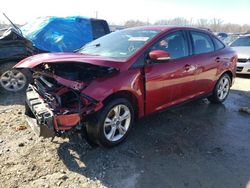 Salvage cars for sale at Louisville, KY auction: 2014 Ford Focus SE