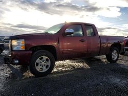 Chevrolet Silverado c1500 Vehiculos salvage en venta: 2008 Chevrolet Silverado C1500