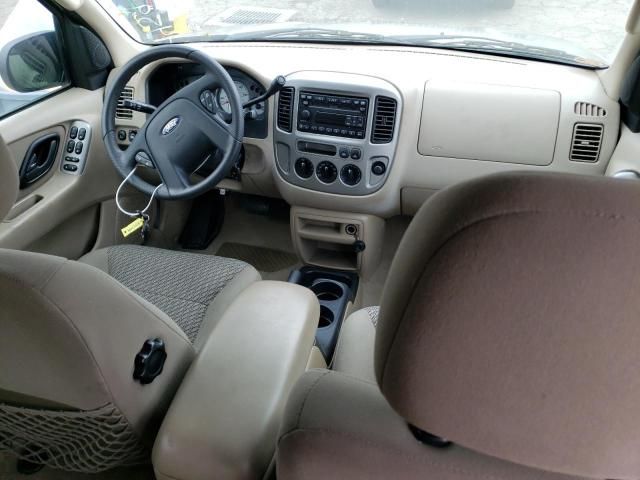 2003 Ford Escape XLT