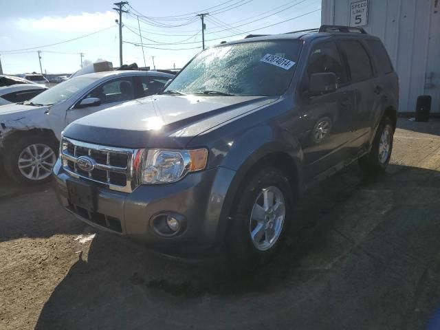 2011 Ford Escape XLT