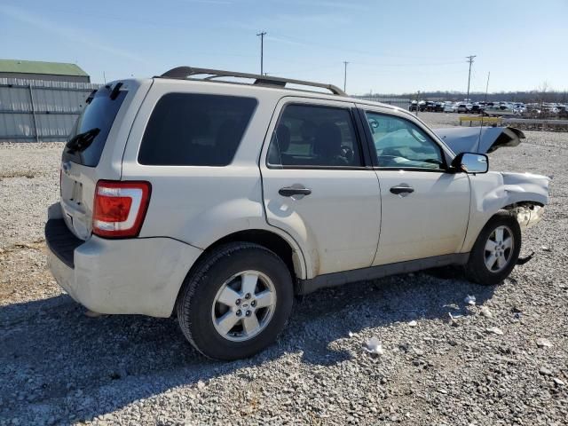 2010 Ford Escape XLT