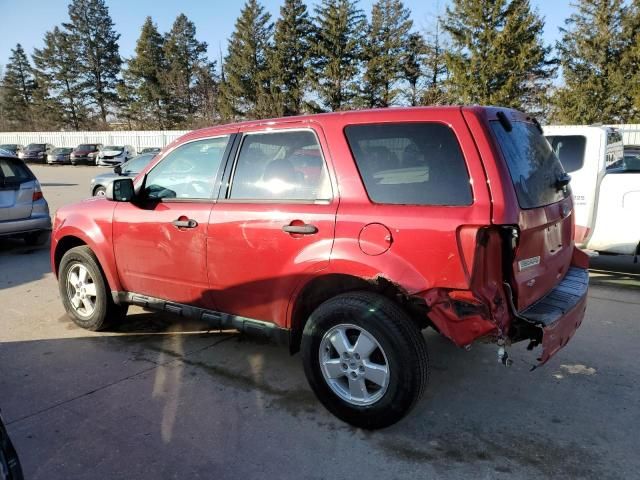 2010 Ford Escape XLS