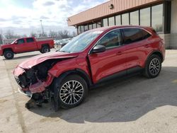 Ford salvage cars for sale: 2022 Ford Escape SE