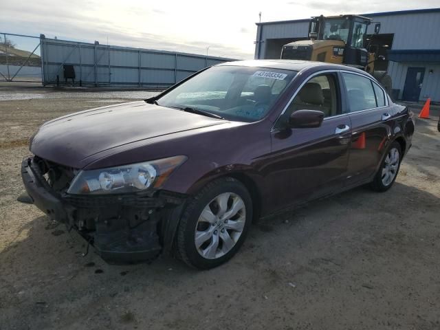 2008 Honda Accord EXL