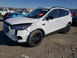 Ford Escape salvage cars for sale: 2017 Ford Escape SE