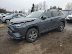 Salvage cars for sale from Copart Ontario Auction, ON: 2024 Toyota Rav4 LE