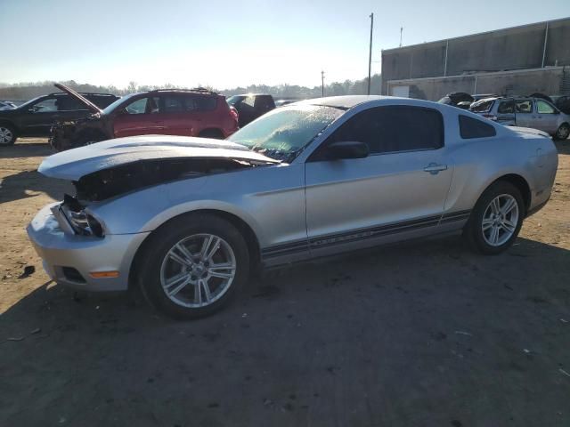 2010 Ford Mustang