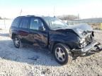 2009 Chevrolet Trailblazer LT