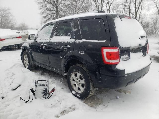 2010 Ford Escape Limited