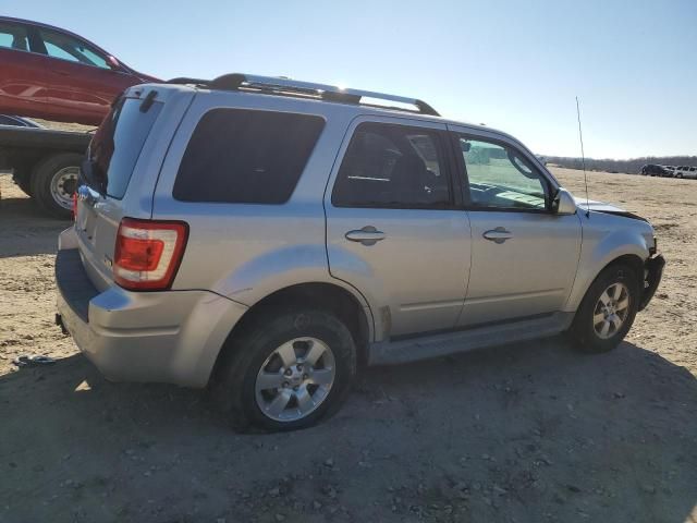 2010 Ford Escape Limited