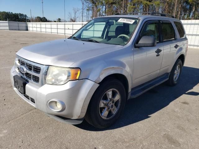 2011 Ford Escape XLT