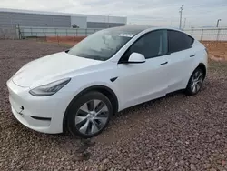 Salvage cars for sale at Phoenix, AZ auction: 2020 Tesla Model Y