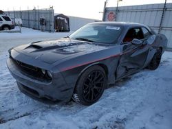 Dodge Challenger salvage cars for sale: 2015 Dodge Challenger SXT Plus