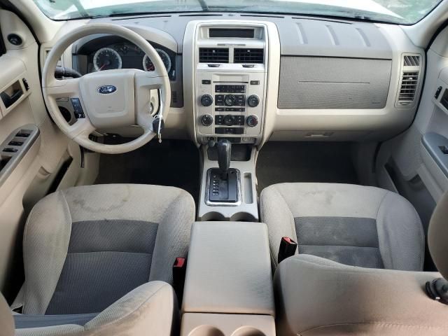 2008 Ford Escape XLT