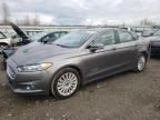 2013 Ford Fusion SE Hybrid