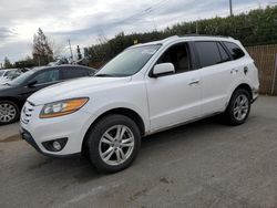 Salvage cars for sale at San Martin, CA auction: 2011 Hyundai Santa FE Limited