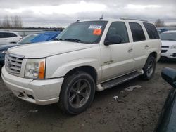 Salvage cars for sale at Arlington, WA auction: 2003 Cadillac Escalade Luxury