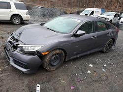 Salvage cars for sale at Marlboro, NY auction: 2016 Honda Civic LX
