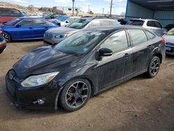 Salvage cars for sale at Colorado Springs, CO auction: 2013 Ford Focus SE