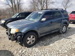 Salvage cars for sale from Copart Cicero, IN: 2010 Ford Escape XLT