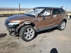 Salvage cars for sale at Albuquerque, NM auction: 2014 Land Rover Range Rover Evoque Pure Plus