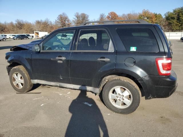 2009 Ford Escape XLT