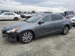 Salvage cars for sale at Antelope, CA auction: 2012 Honda Accord EXL
