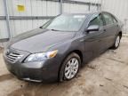 2009 Toyota Camry Hybrid