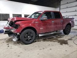 2013 Ford F150 Supercrew en venta en Blaine, MN