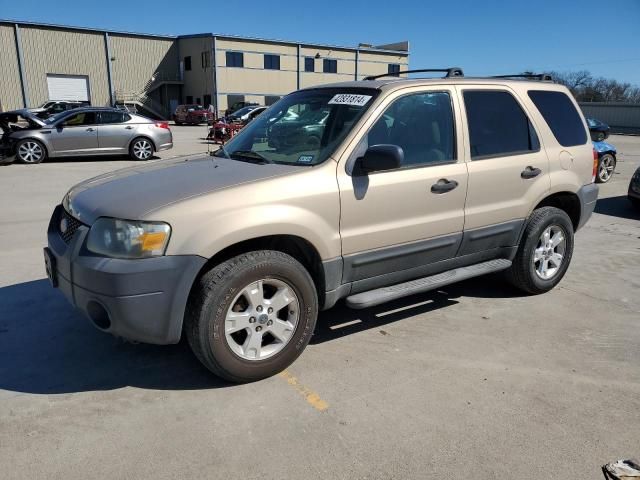 2007 Ford Escape XLT