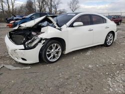 Salvage cars for sale at Cicero, IN auction: 2012 Nissan Maxima S